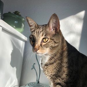 Meet your Posher, Olivia